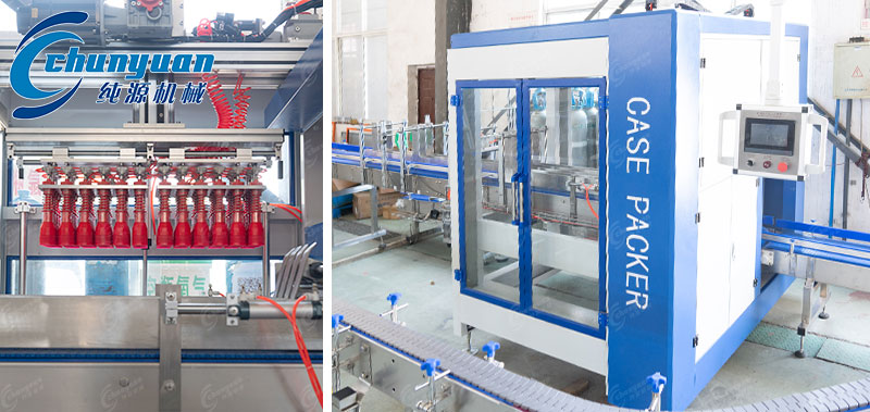 自動(dòng)抓取式裝箱機(jī)-2 自動(dòng)抓取式裝箱機(jī)-2